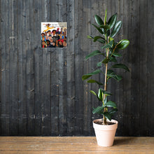 Load image into Gallery viewer, Night Night Posters on Matte Paper